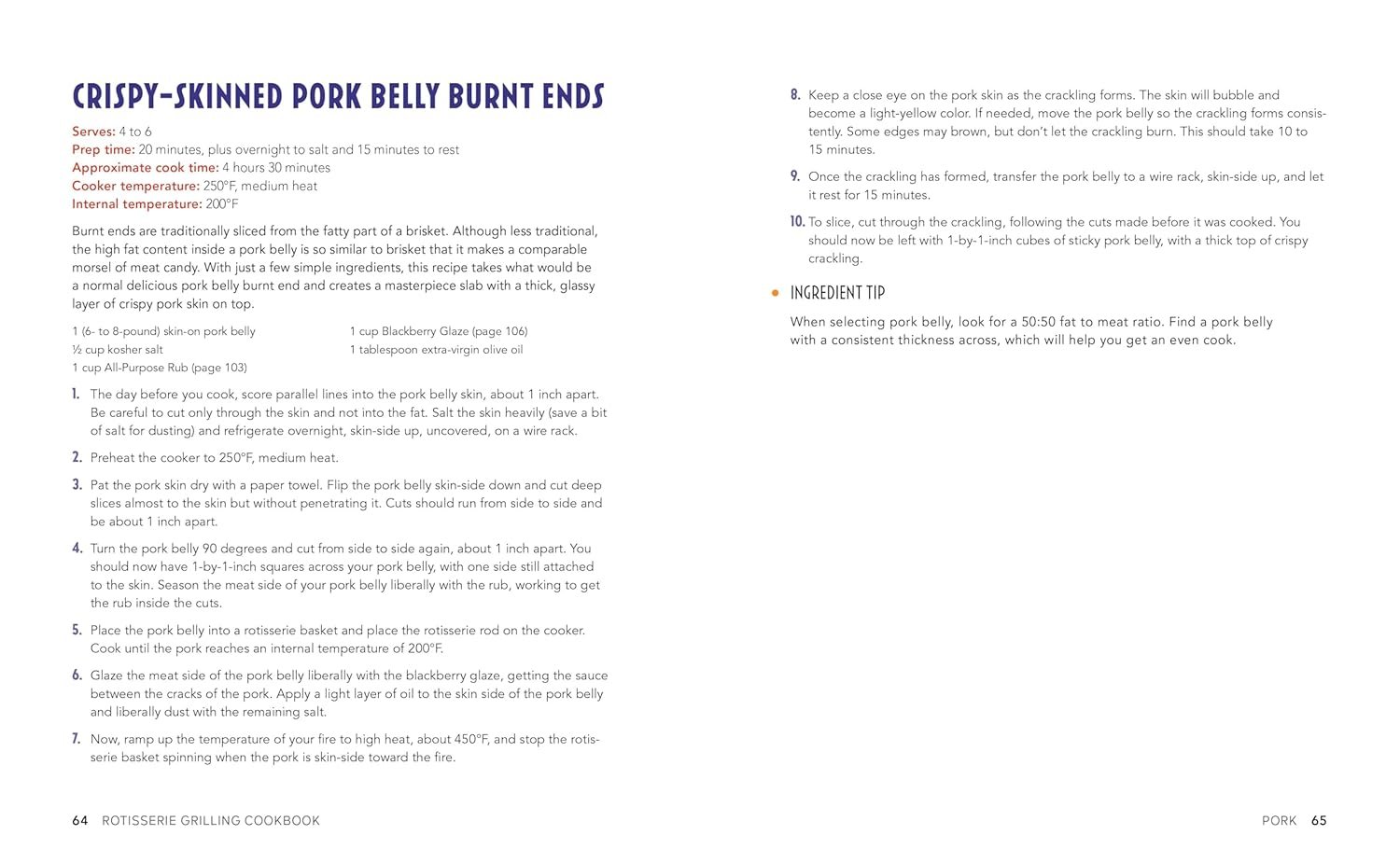 Rotisserie Grilling Cookbook: Easy Recipes and Step-by-Step Instructions for Mastering the Grill - Image 2