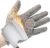 Schwer ProGuard-X Highest Level Cut Resistant Stainless Steel Metal Mesh Chainmail Glove PM5201 Butcher Glove for Meat Cutting Food Processing Knife Sharpening Oyster Shucking Kitchen Fish Fillet, XL